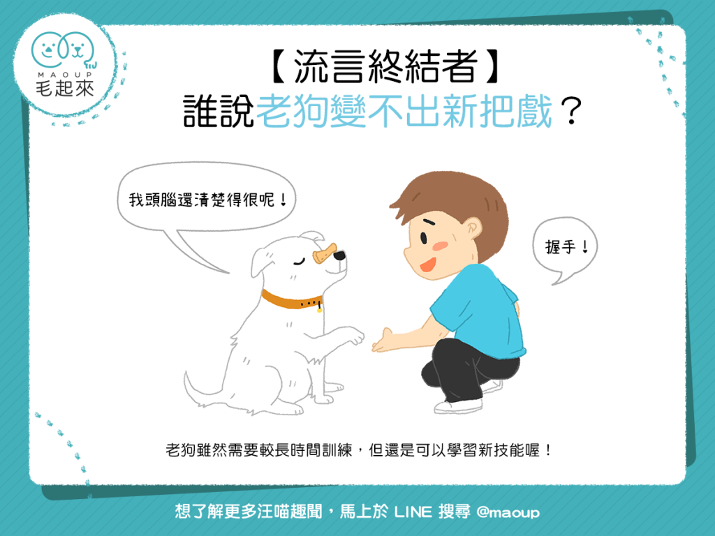 【流言終結者】 誰說老狗變不出新把戲？
