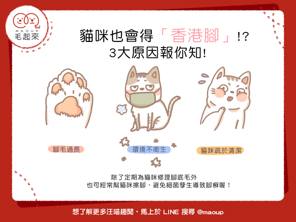 貓咪也會得香港腳？
