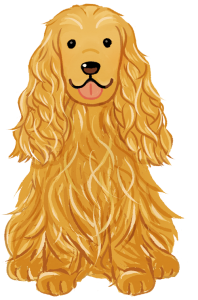 可卡犬