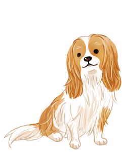 查理王小獵犬