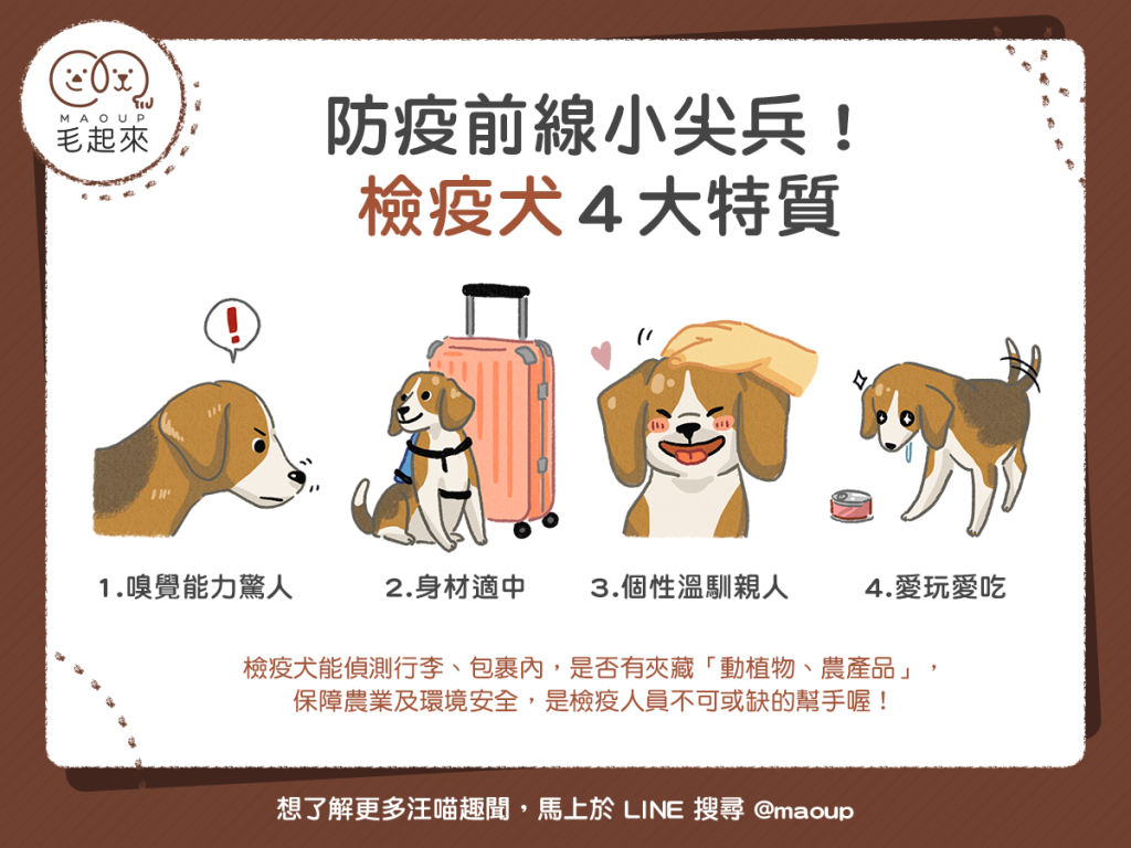 190308_1_防疫前線小尖兵！檢疫犬４大特質