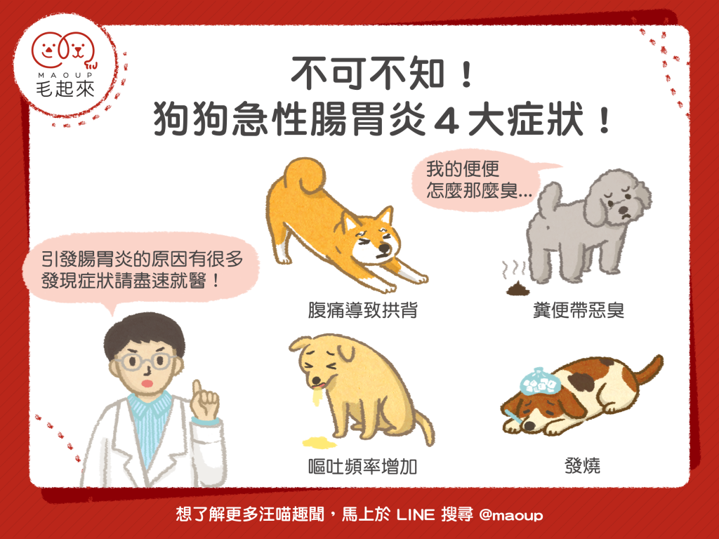 狗狗急性腸胃炎常見４症狀